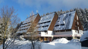 Отель Parkhotel Harrachov, Гаррахов